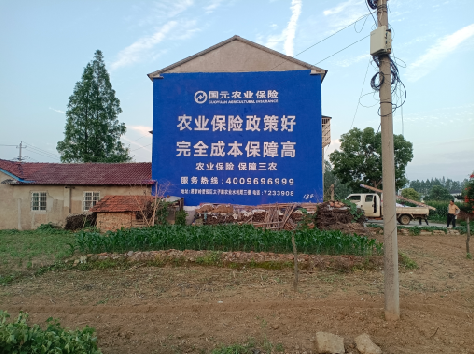 罗田墙体广告的优劣势你知道吗？